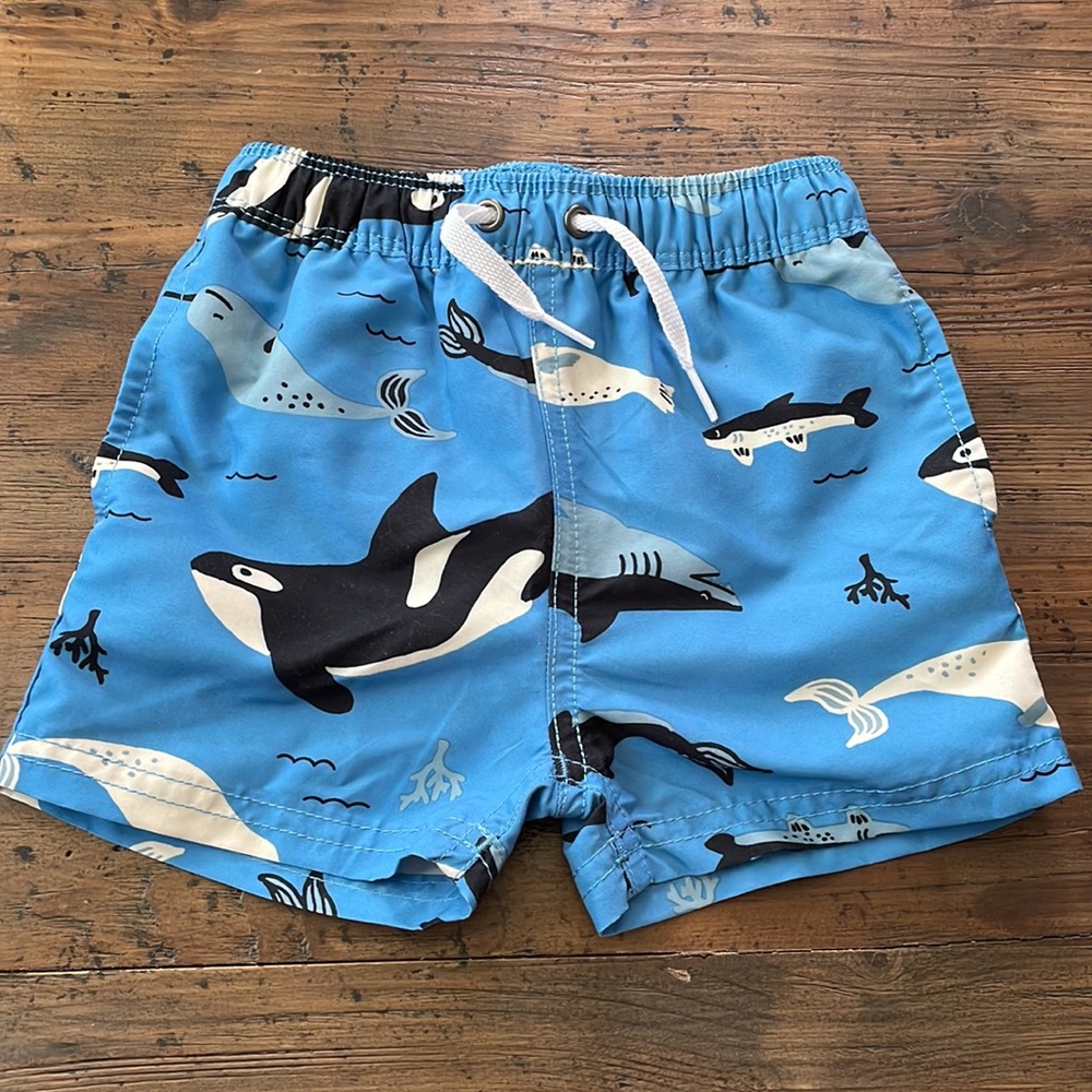 New Hanna Anderson blue shark/ fish swim trunks 18-24 months